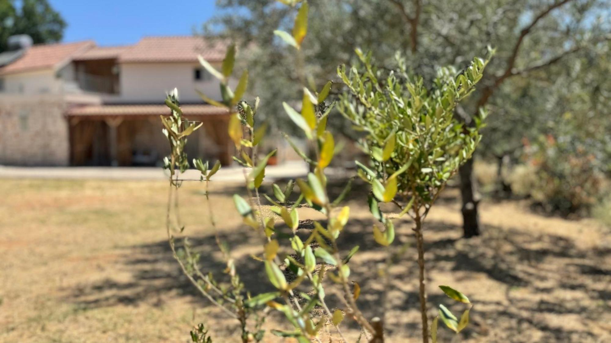 Villa Dolce Terra *