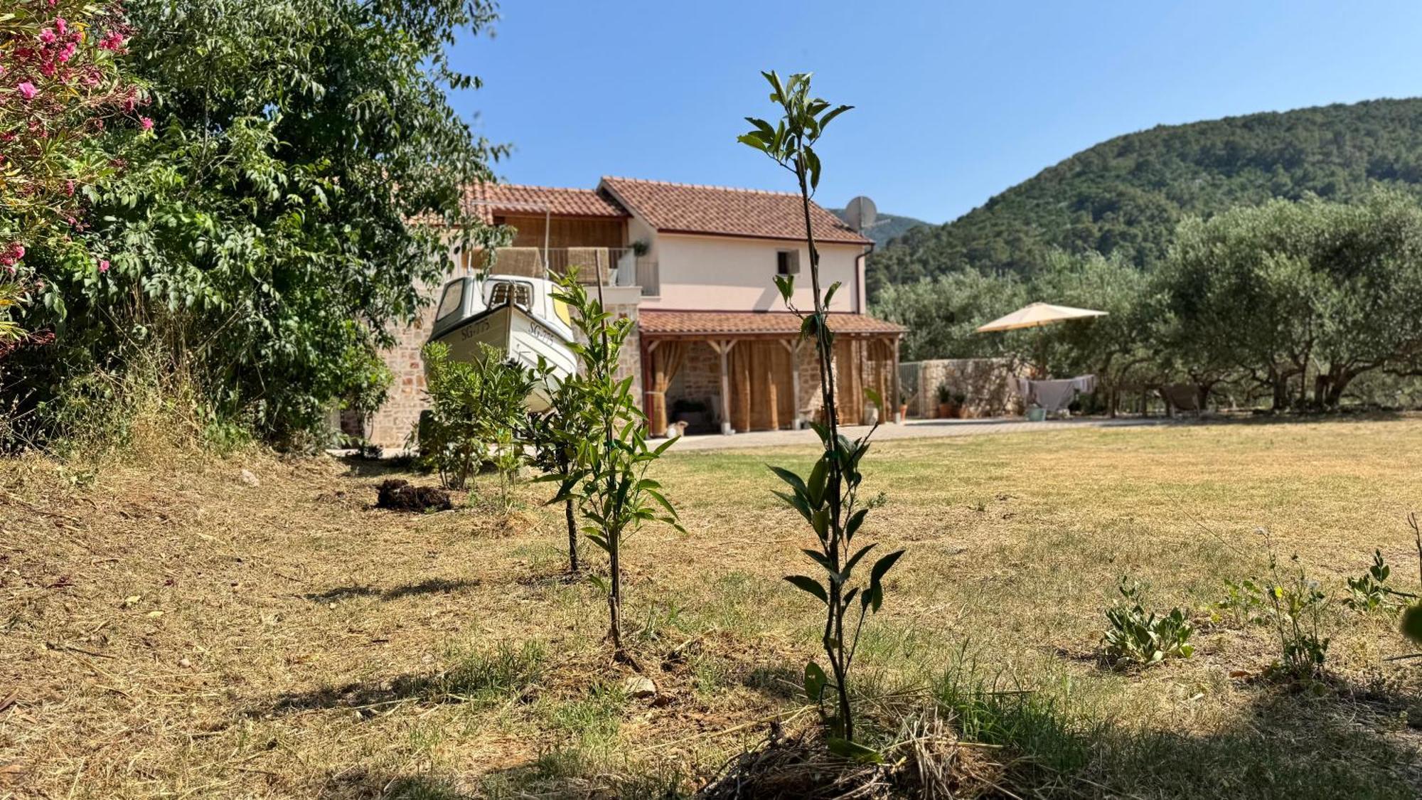 Dolce Terra * Stari Grad (Hvar)